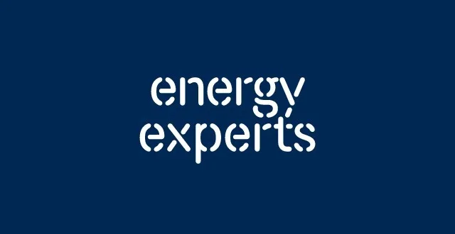 energy experts
