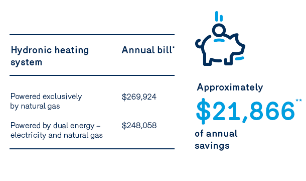 visuel économie hôpitaux - affaires biénergie