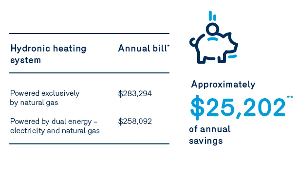 visuel économie hôpitaux - affaires biénergie