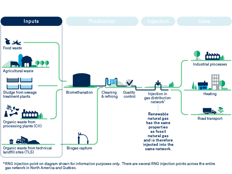 Cycle de production par biométhanisation: les intrants