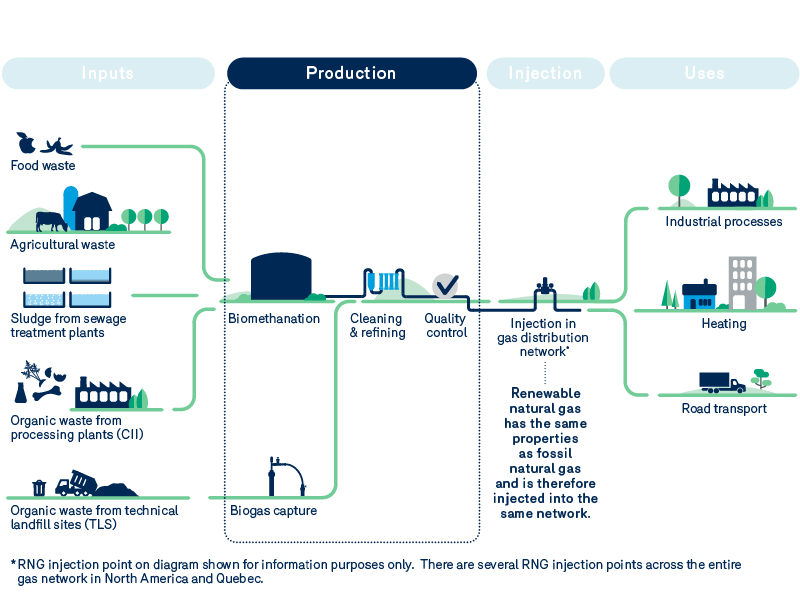 Cycle de production par biométhanisation: production de gnr