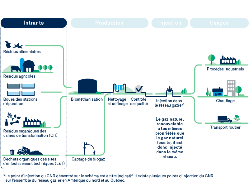 Cycle de production par biométhanisation: les intrants