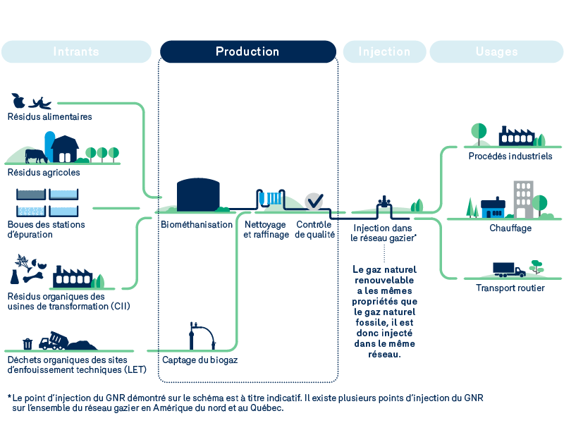 Cycle de production par biométhanisation: production de gnr