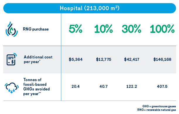 Portrait clients - consommation GNR | Hospital