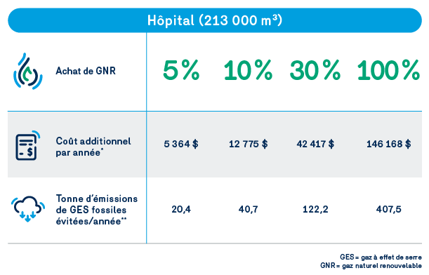Portrait clients - consommation GNR | Hôpital