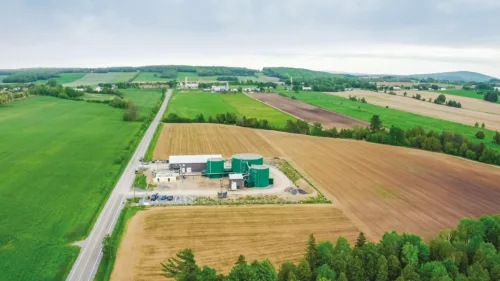 visuel plan d'oiseau champs